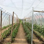 米尔林酒店