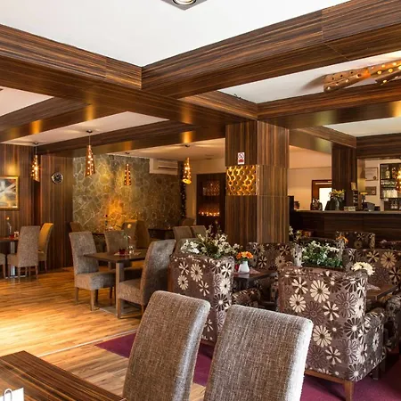 Hotel Mlyn 3*